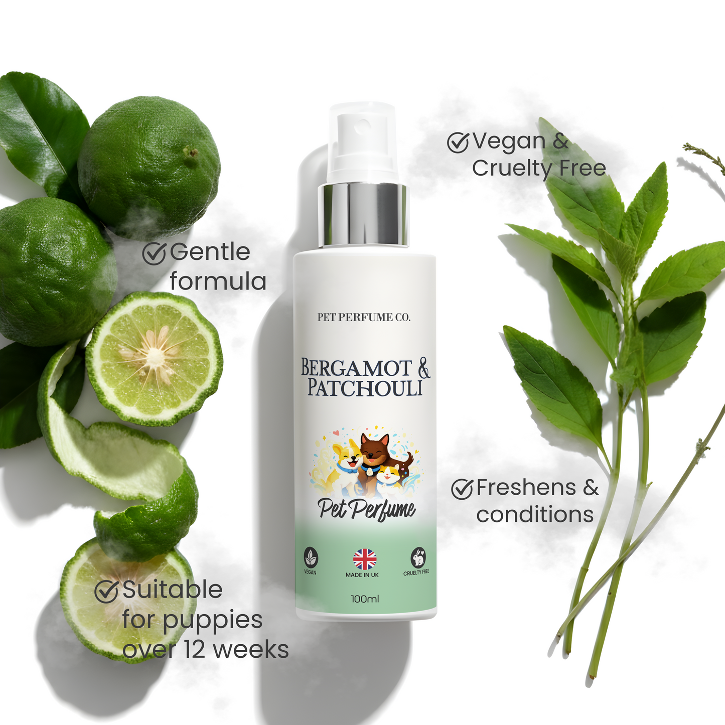 Bergamot & Patchouli Pet Perfume