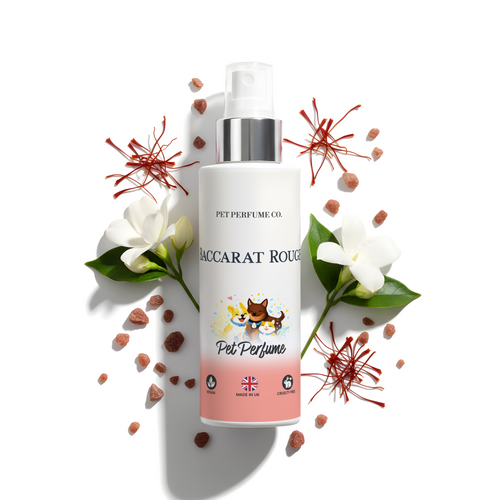 Baccarat Rouge Dog Perfume & Pet Spray
