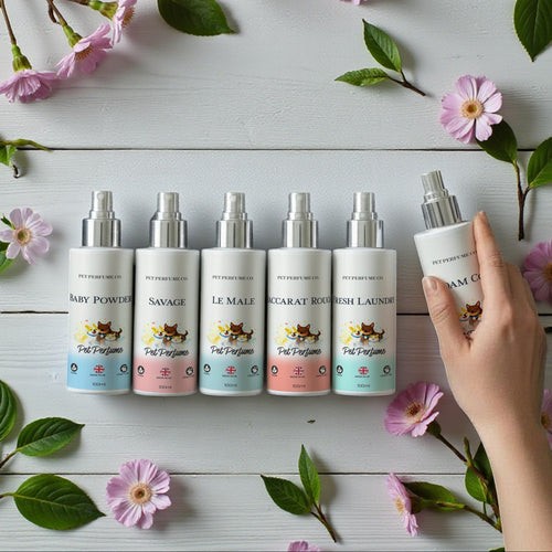 Furry Favourites Bundle