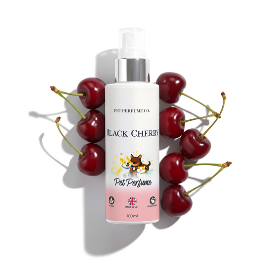 Black Cherry Pet Perfume