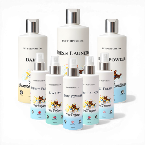 Fresh & Clean Bundle