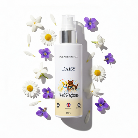 Daisy Pet Perfume