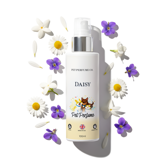 Daisy Pet Perfume