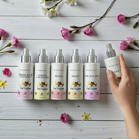 Floral & Soft Bundle