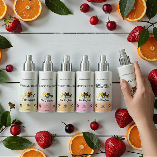 Fruity & Playful Bundle