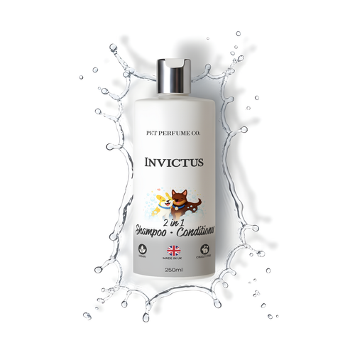 Invictus Dog Shampoo
