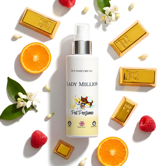 Lady Million Dog Perfume & Pet Spray