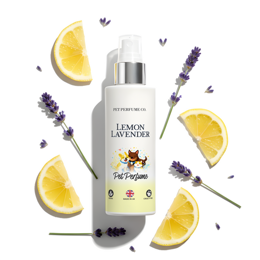 Lemon Lavender Dog Perfume & Pet Spray
