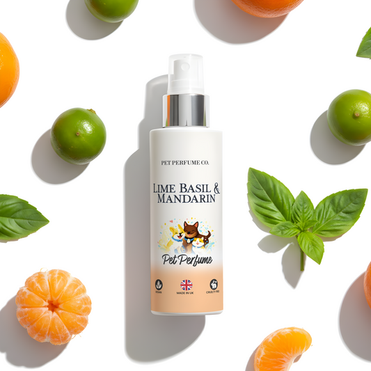 Lime Basil & Mandarin Dog Perfume & Pet Spray