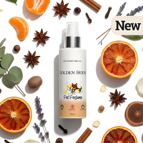Golden Hour Pet Perfume