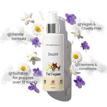 Daisy Pet Perfume