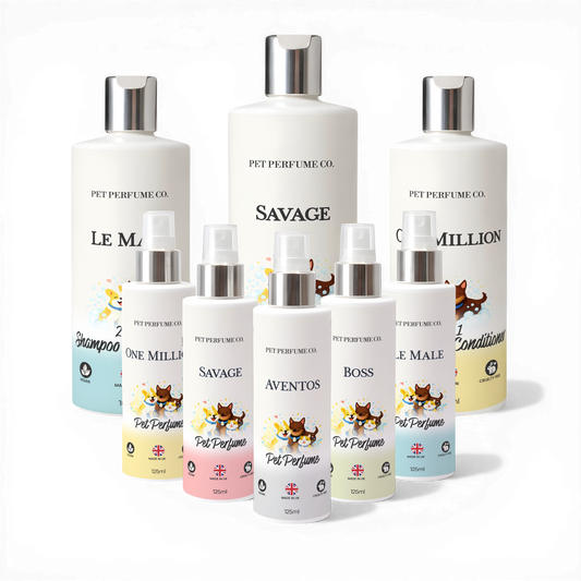 Men's inspired dog perfume bundle with pet perfumes and dog shampoo