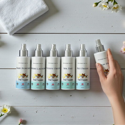 Fresh & Clean Bundle